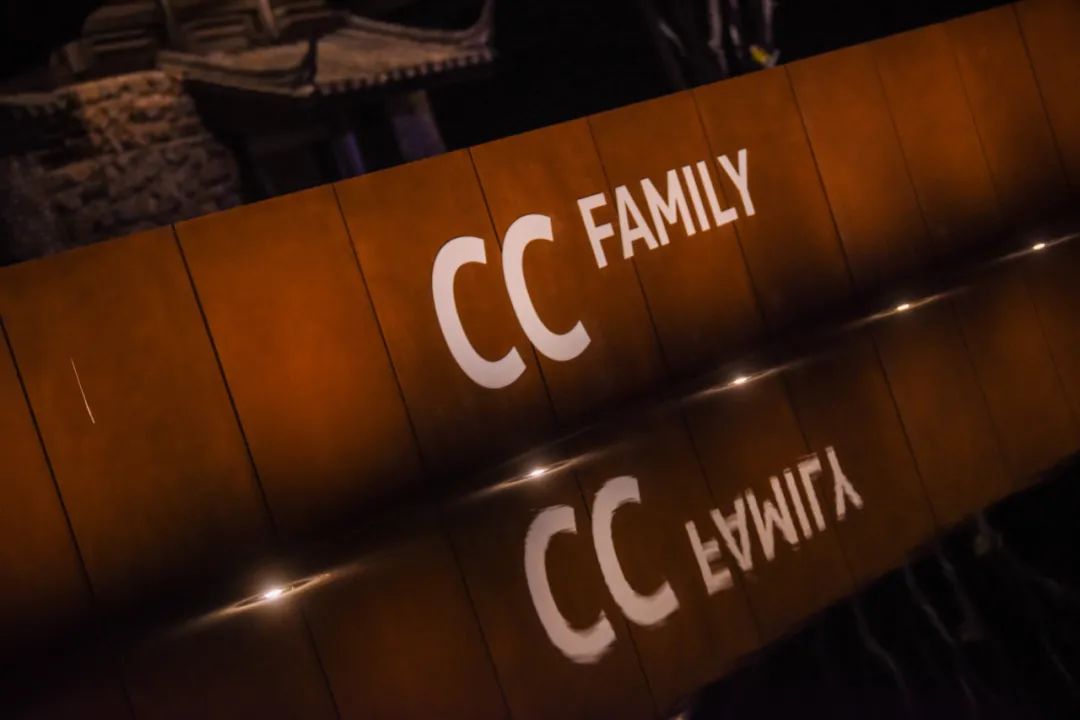 cc大众发展史,最美大众车全新一代cc