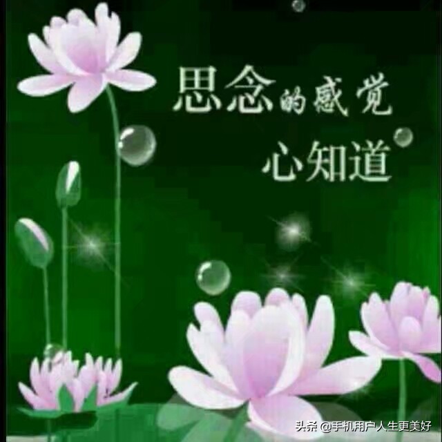 婚姻，到底是原装的好？还是组装的好？