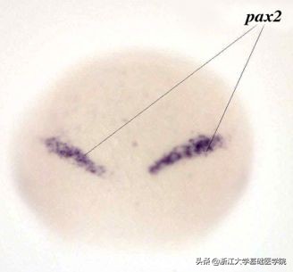 与研究员对话,徐鹏飞和徐云峰对话