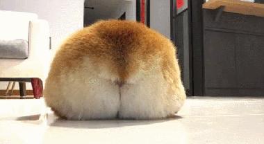 屁股大假胯宽腿粗最简单方法,改善假胯宽屁股大的动作