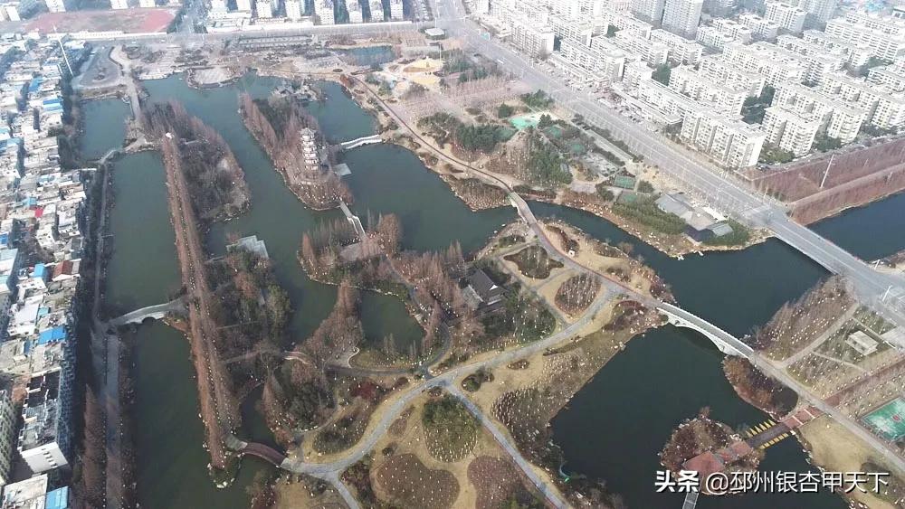 邳州空城视频,一样的金乡不一样的空城