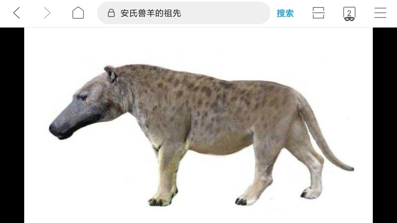 山海经都有哪些动物被证实存在,如果山海经的异兽真的存在