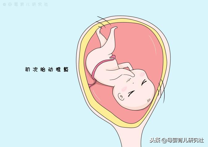 孕妈自己推算预产期其实很简单,解析6种非常科学的方法