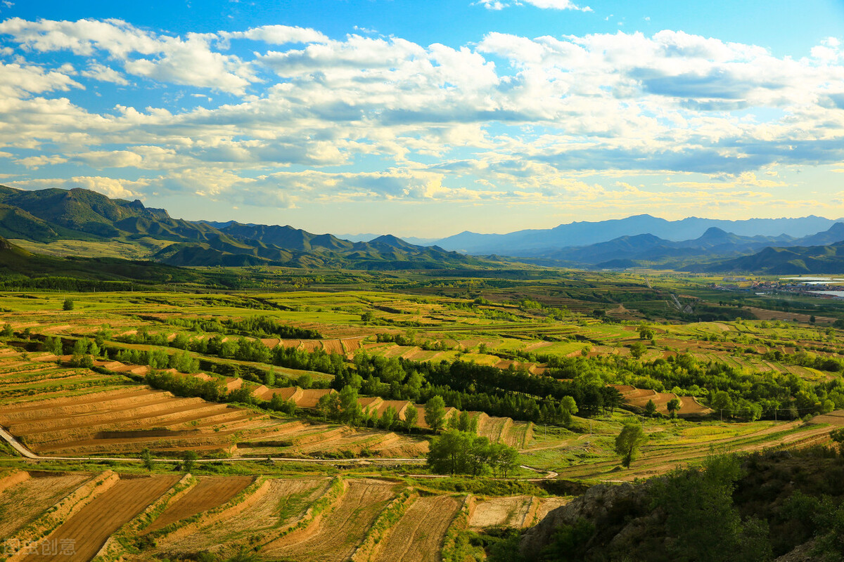 今年对欠钱不还的有什么新政,欠钱不还有哪些强制措施