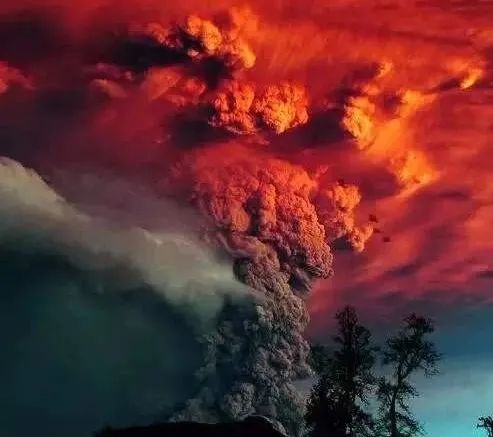 购房潮突如其来,楼市刚复苏就出现抢房潮