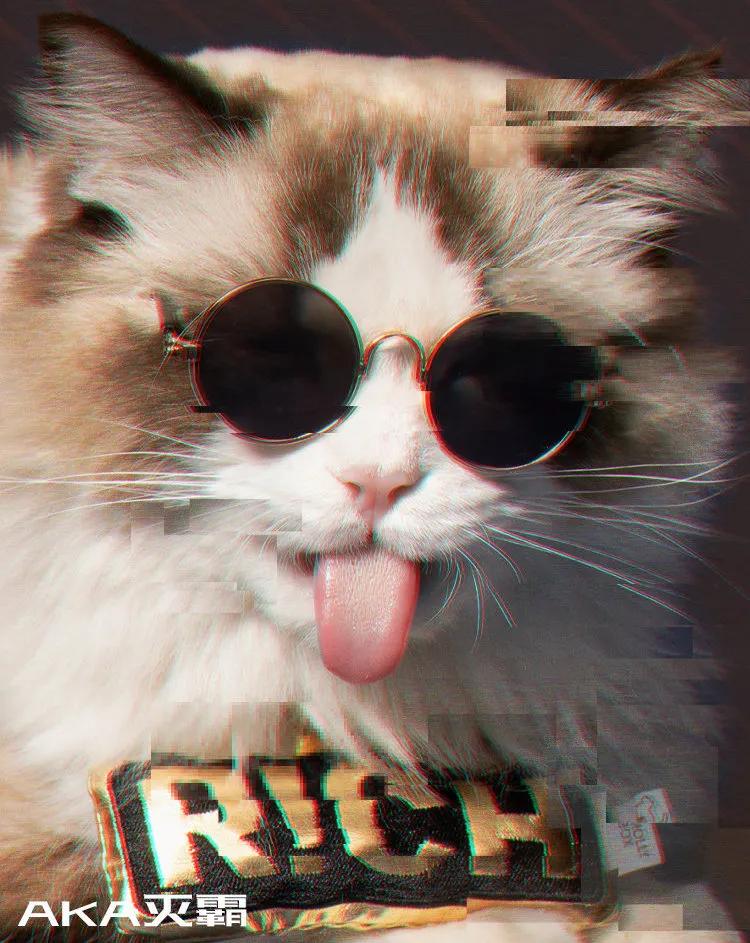 猫吃完药之后吐白沫是什么原因,猫吃完药吐白沫正常吗