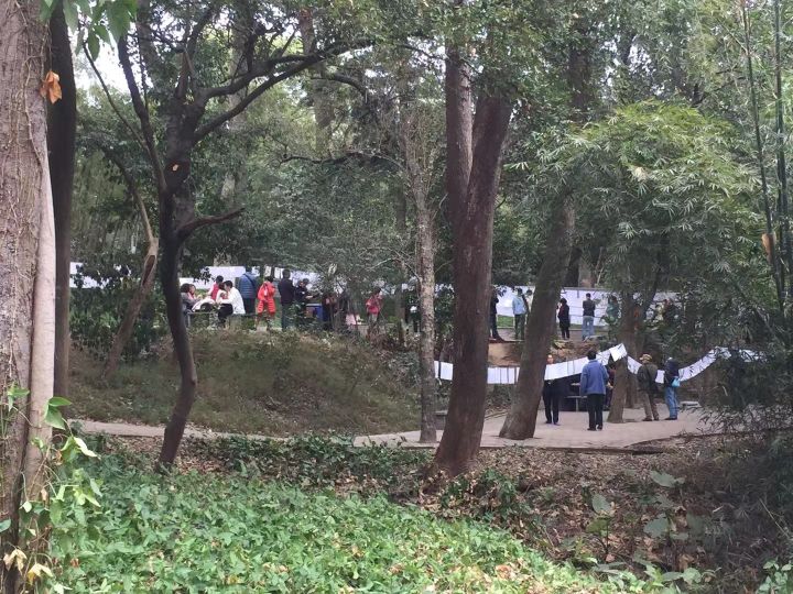 在相亲角逛了一圈,我们差点脱不开身