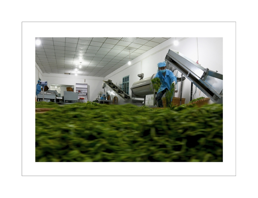 母亲河长江旅游,游黄河入海口的感受