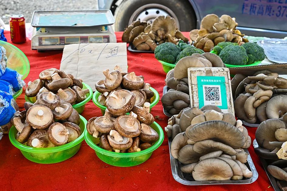北京京郊大集地理位置,今天京郊哪有大集
