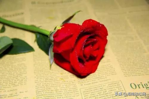 海南澄迈：千秋城市广场“浪漫情人节2.14甜蜜来袭!