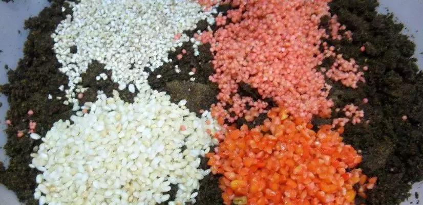 冬季钓鲤鱼用什么窝料打窝最好,野钓鲤鱼怎么才能让鲤鱼快速聚窝