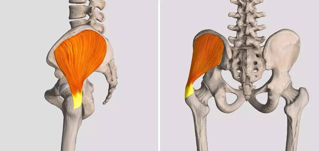 先天性髋脱位治疗方法,先天性髋关节挛缩