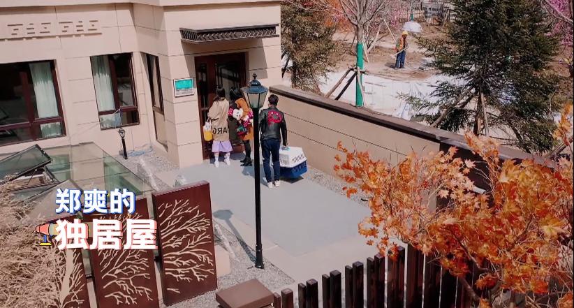 30块便当找张恒报销1000元!身家过亿又如何,郑爽照样贪财