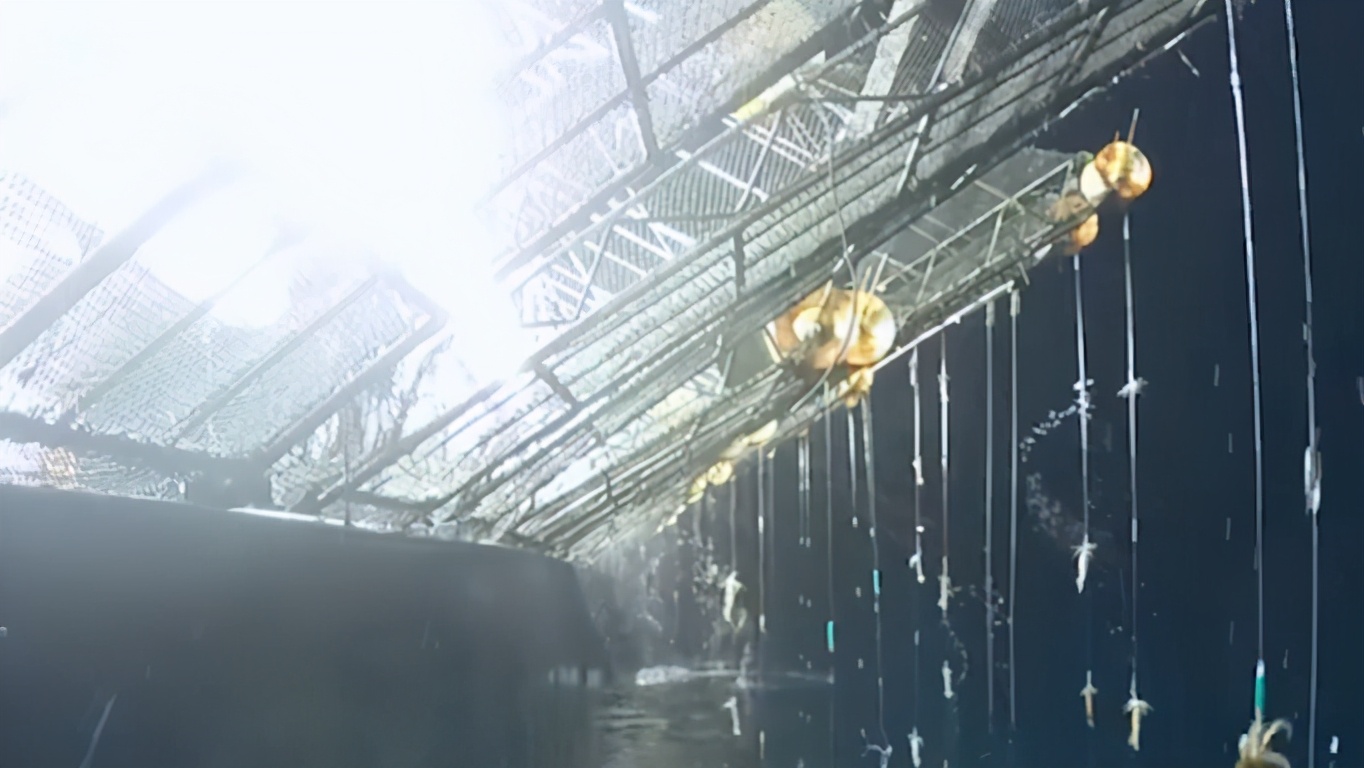 2010年，33人出海钓鱿，却只回来11人，他们经历了什么？