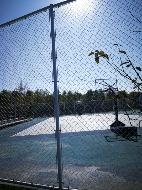 廊坊三叶公园项目信息,廊坊三叶公园附近