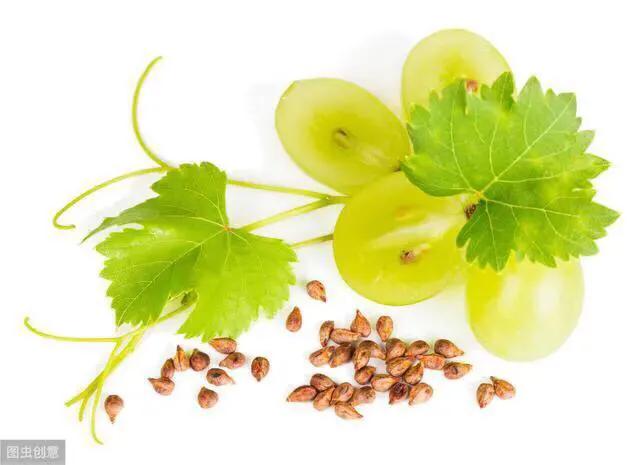 葡萄籽一定要搭配护肝片吗,葡萄籽真有抗衰作用吗