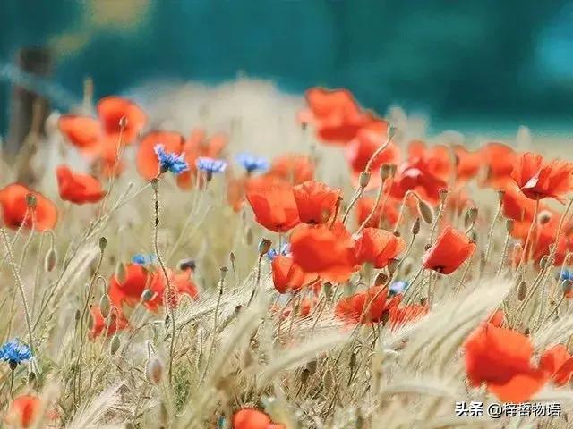 知乎摘录精彩问答56条,读后让人豁然开朗!