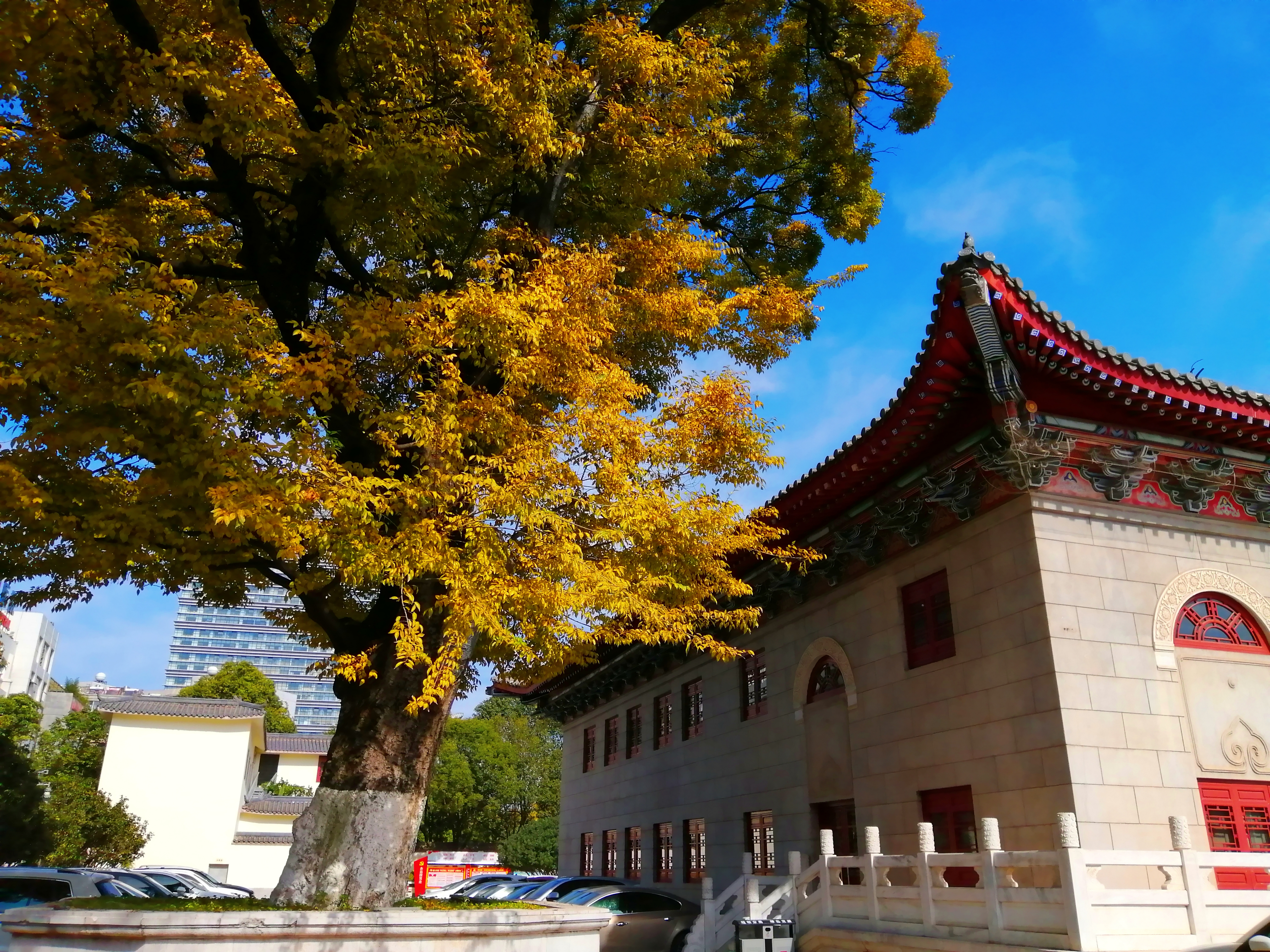 云南沐王府的前世今生,沐王府古滇国宝藏