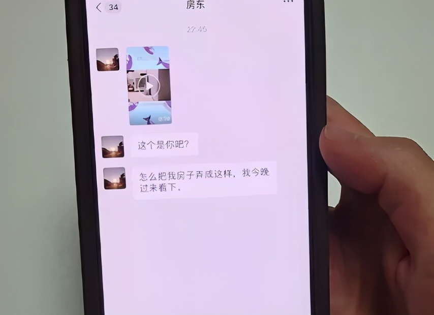 养了十多天的猫损失了几万元,偷偷养只猫最后全军覆没