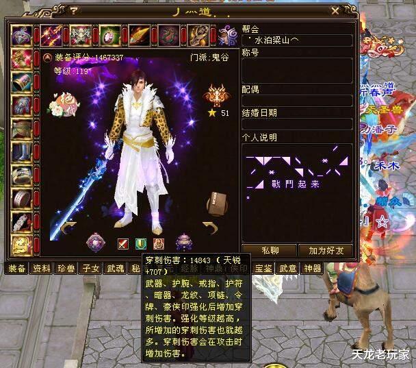 天龙八部武当哪个属性厉害,天龙八部武当大神属性图