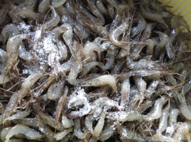 虾皮炒韭菜可以长高吗,韭菜和绿豆芽一起炒宝宝可以吃吗