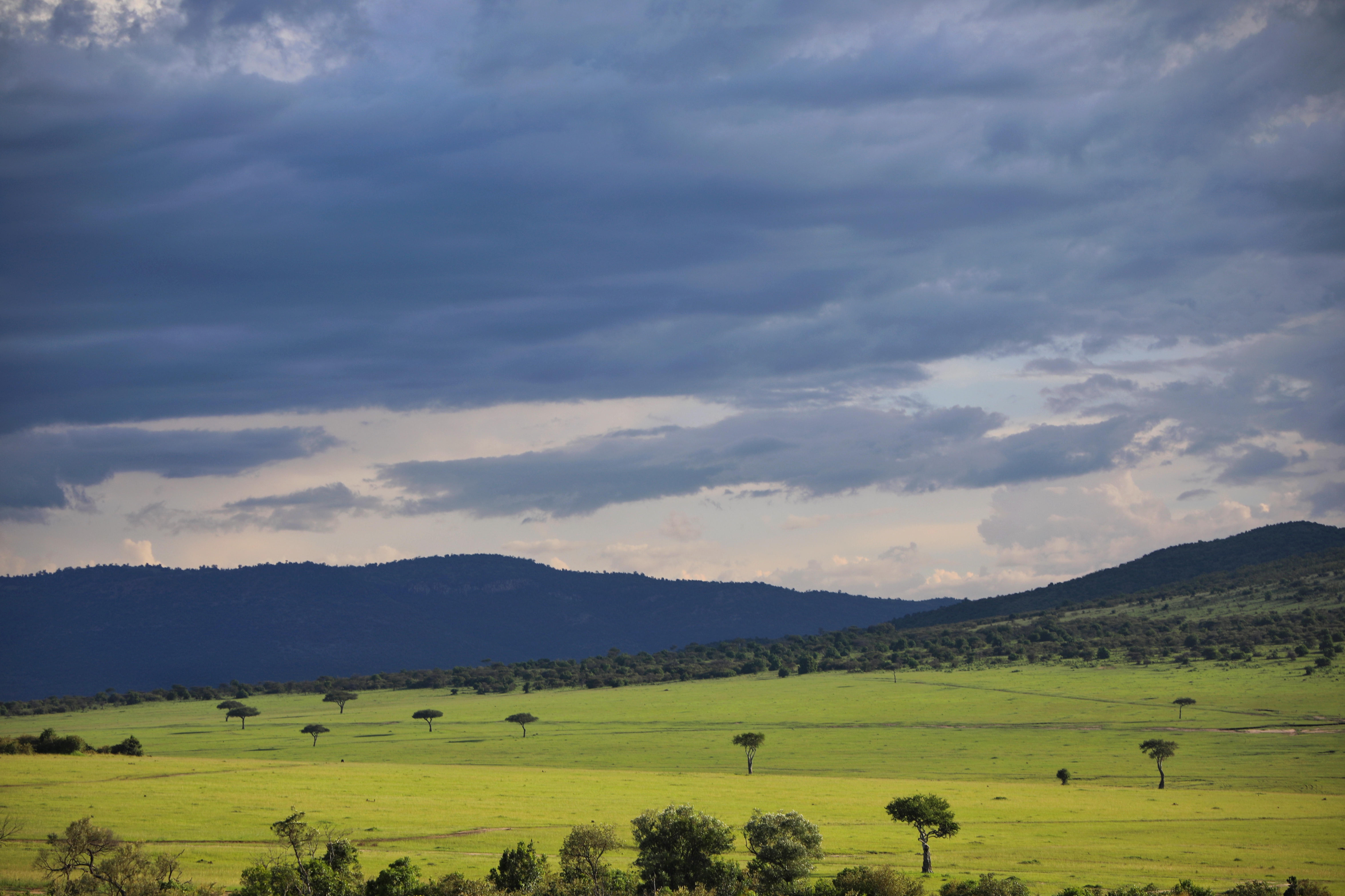 一个中国人在肯尼亚草原旅游创业：老外惊见中国速度，当地人感激
