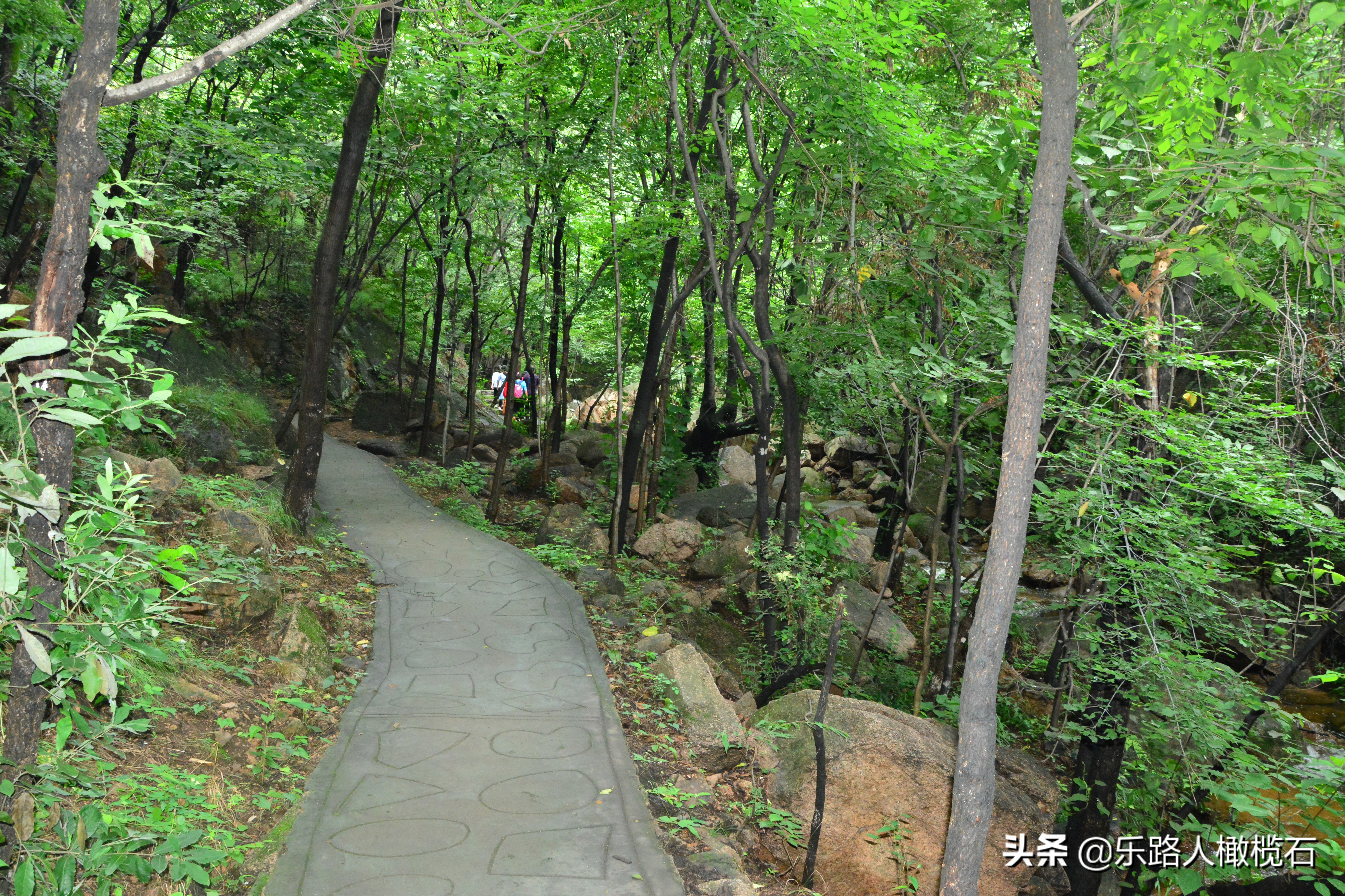 平顶山画眉谷旅游,河南鲁山免费景点