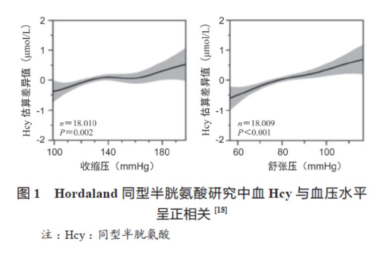 中国高血压防治指南同型半胱氨酸,同型半胱氨酸引起的高血压占70%