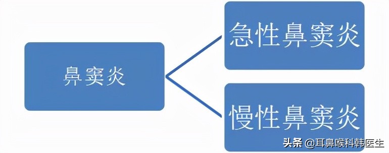 鼻炎鼻窦炎有什么区别科普,为什么鼻腔炎症易引起鼻窦炎