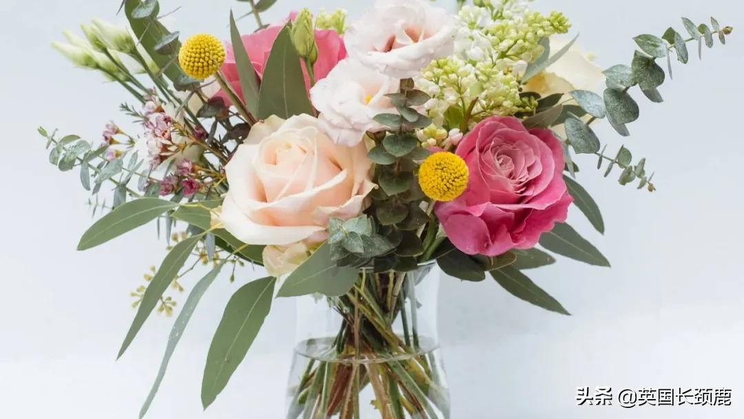 情人节来了怎么少的了fafa？英国鲜花速递服务大盘点：浪漫满分