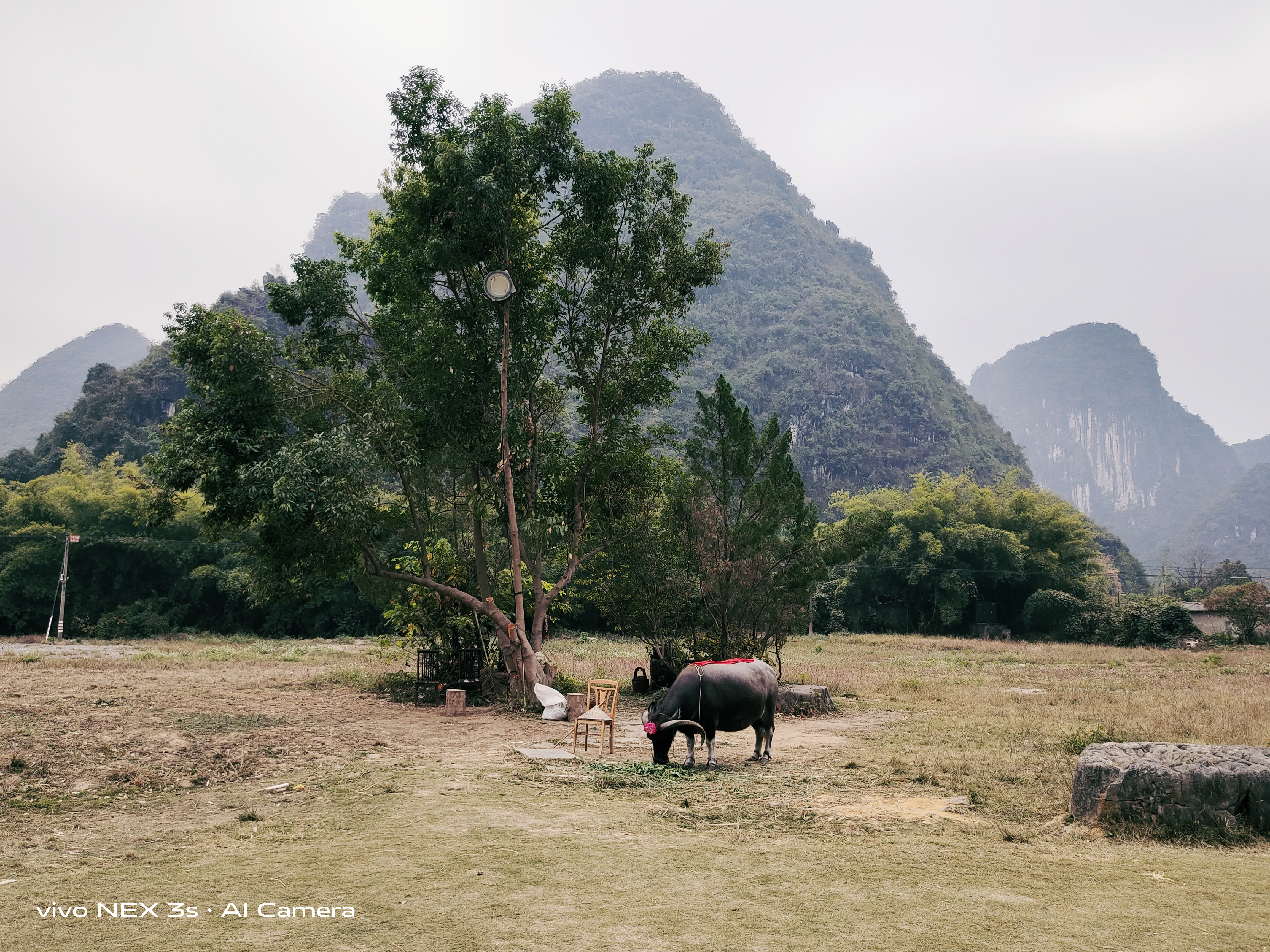 nex3和nex3s外观有什么区别,vivonex3对比华为mate30pro
