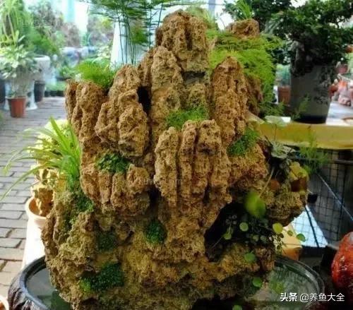 上水石盆景制作方法是什么,上水石盆景制作视频教程完整版