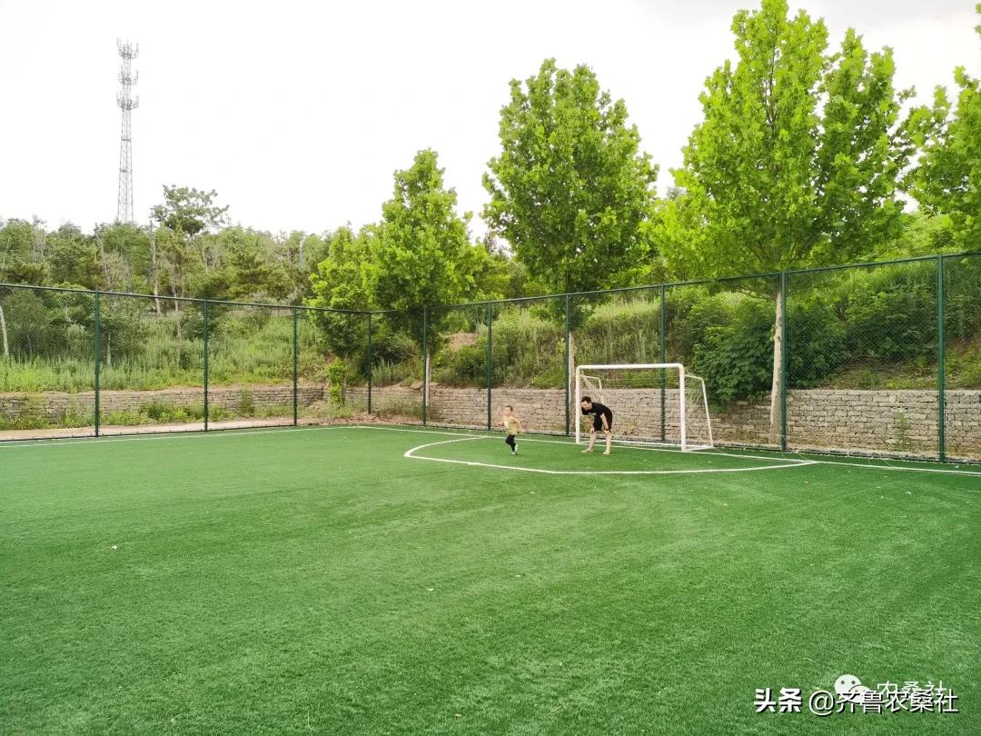 青州民宿桐峪里价格,青州桐峪里民宿有树屋吗