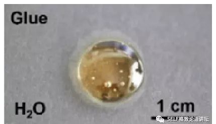 诺贝尔奖中的有机化学,为什么诺贝尔化学奖很少