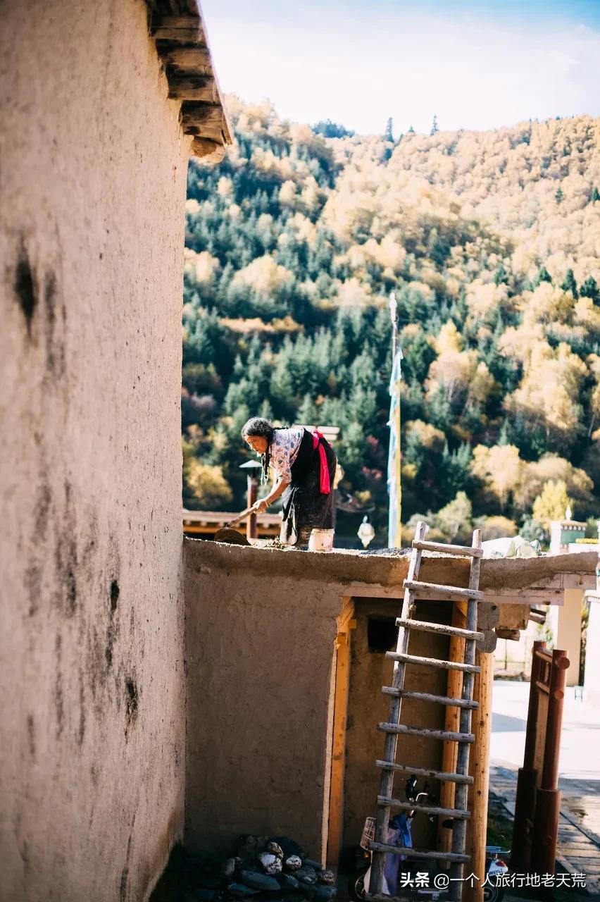 忽然想去自驾游了,想去川西看星空