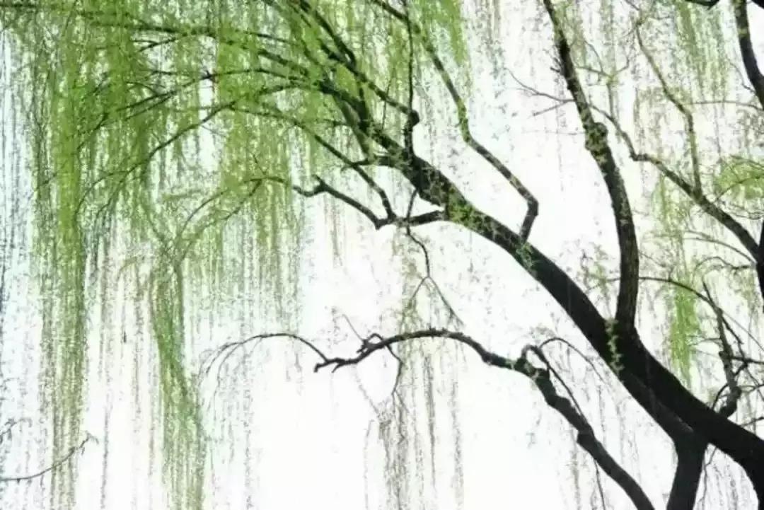 梦参老和尚讲神通故事,梦参老和尚讲一个笑话视频