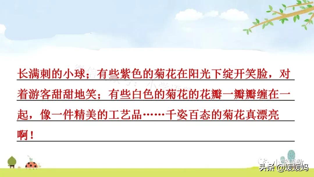 三年级第18课富饶的西沙群岛视频,三年级上册18富饶的西沙群岛笔记