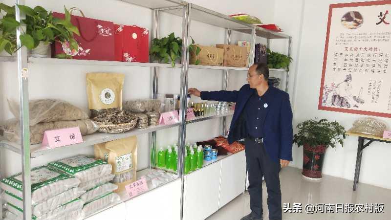 上蔡农民王线中：从“牛总”到“艾痴”，与艾草“结缘”，闯出致富路子