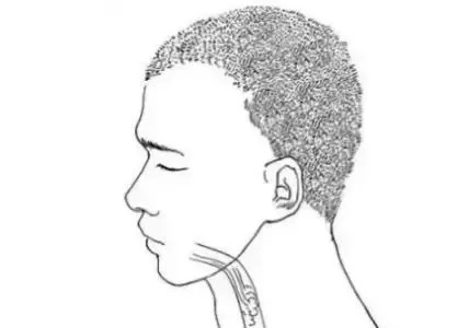 如何养脾与健脾,百病归于脾3个中成药健脾壮胃