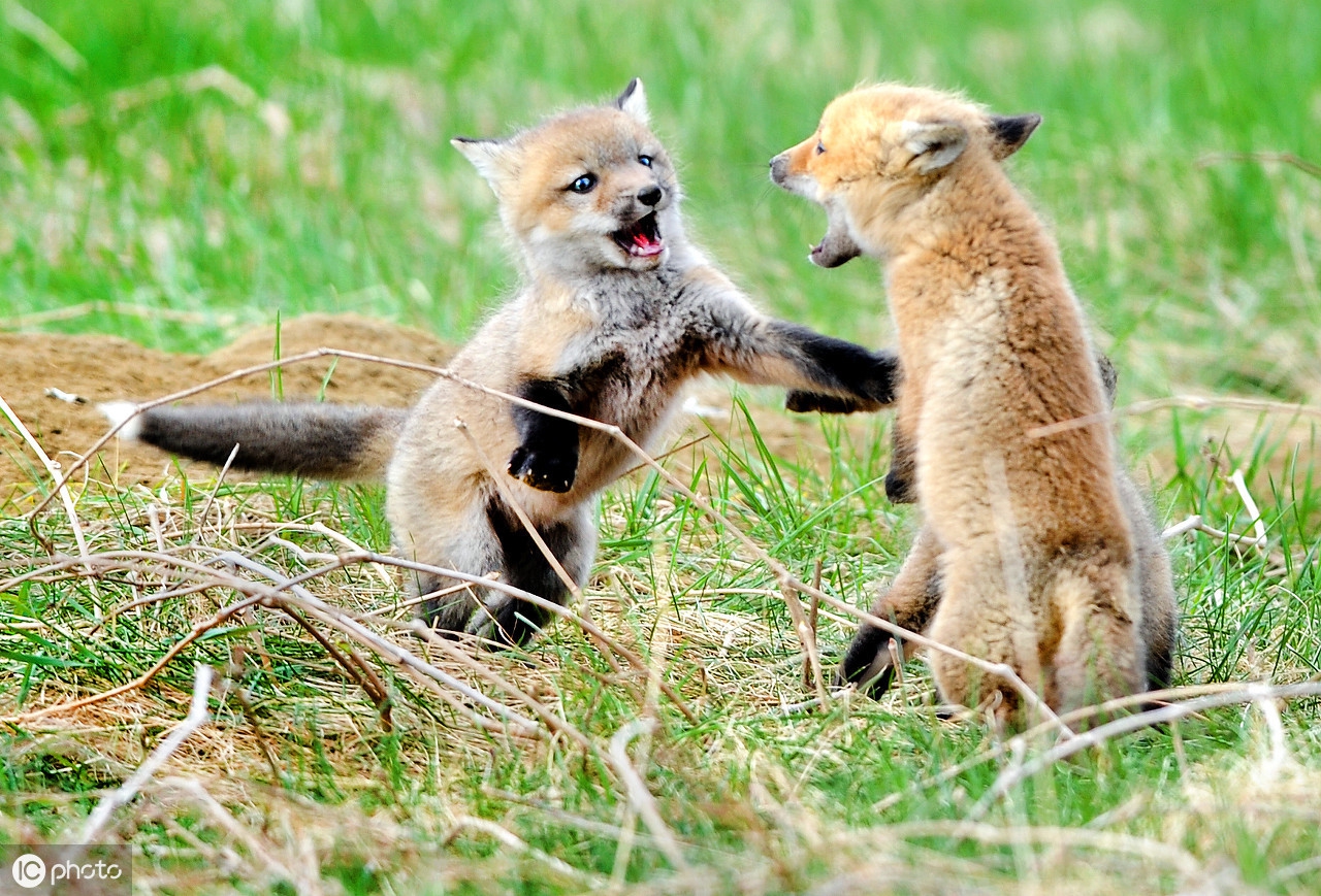 又好玩又搞笑的游戏,好玩又搞笑的游戏手机版