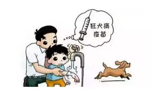 小孩被猫狗抓了咬了会怎么样,小孩被猫狗咬