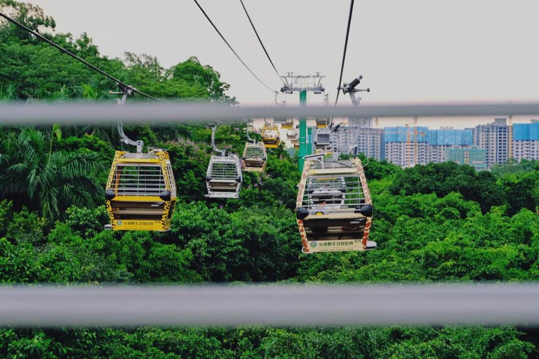 广州长隆最省钱玩法,最实惠广州长隆攻略