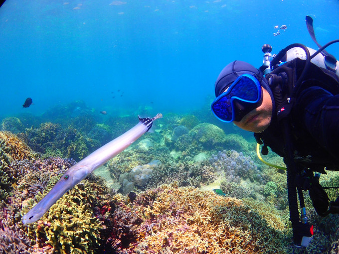 越南芽庄旅游攻略模板,芽庄出海一日游