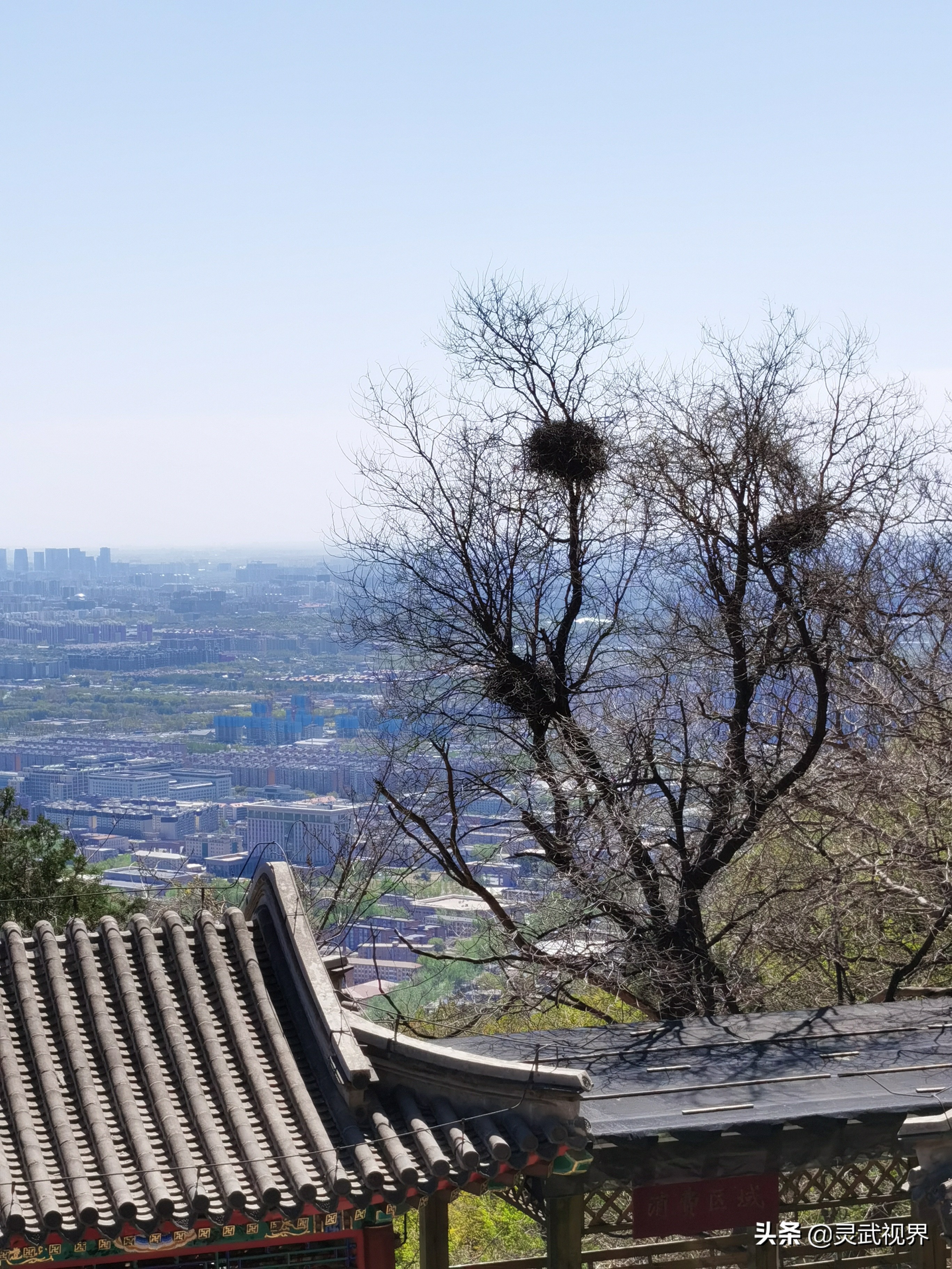带你看看不一样的装饰,带你看看不一样的家