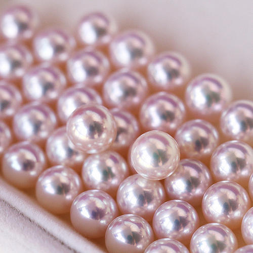 日本珍珠akoya,日本珍珠akoya多少一颗