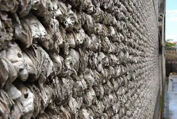 广州隐藏着一个碉楼村,广州有哪些隐藏的景点