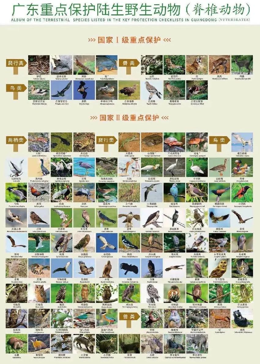 餐饮老板大呼扛不住!纷纷要求减免三四月租金