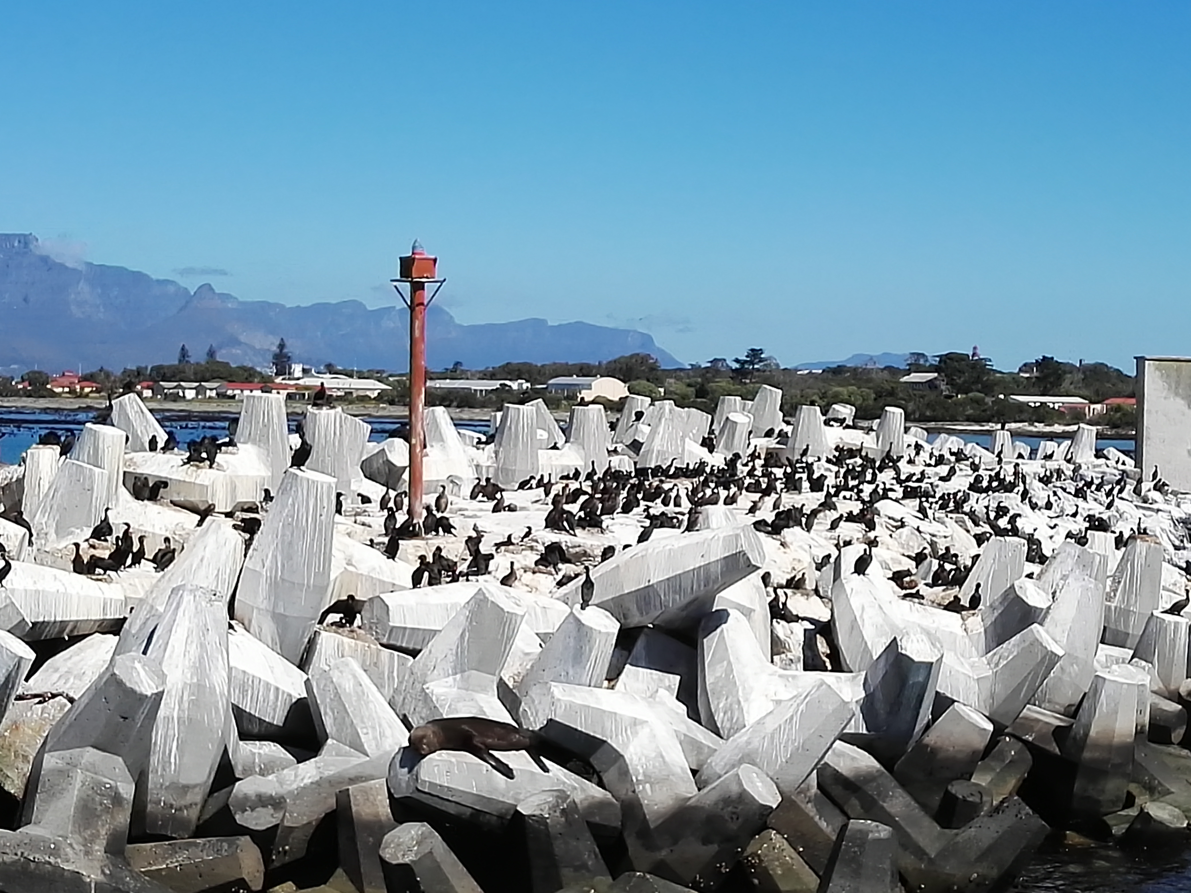 曼德拉在监狱多少年,南非总统曼德拉罗本岛