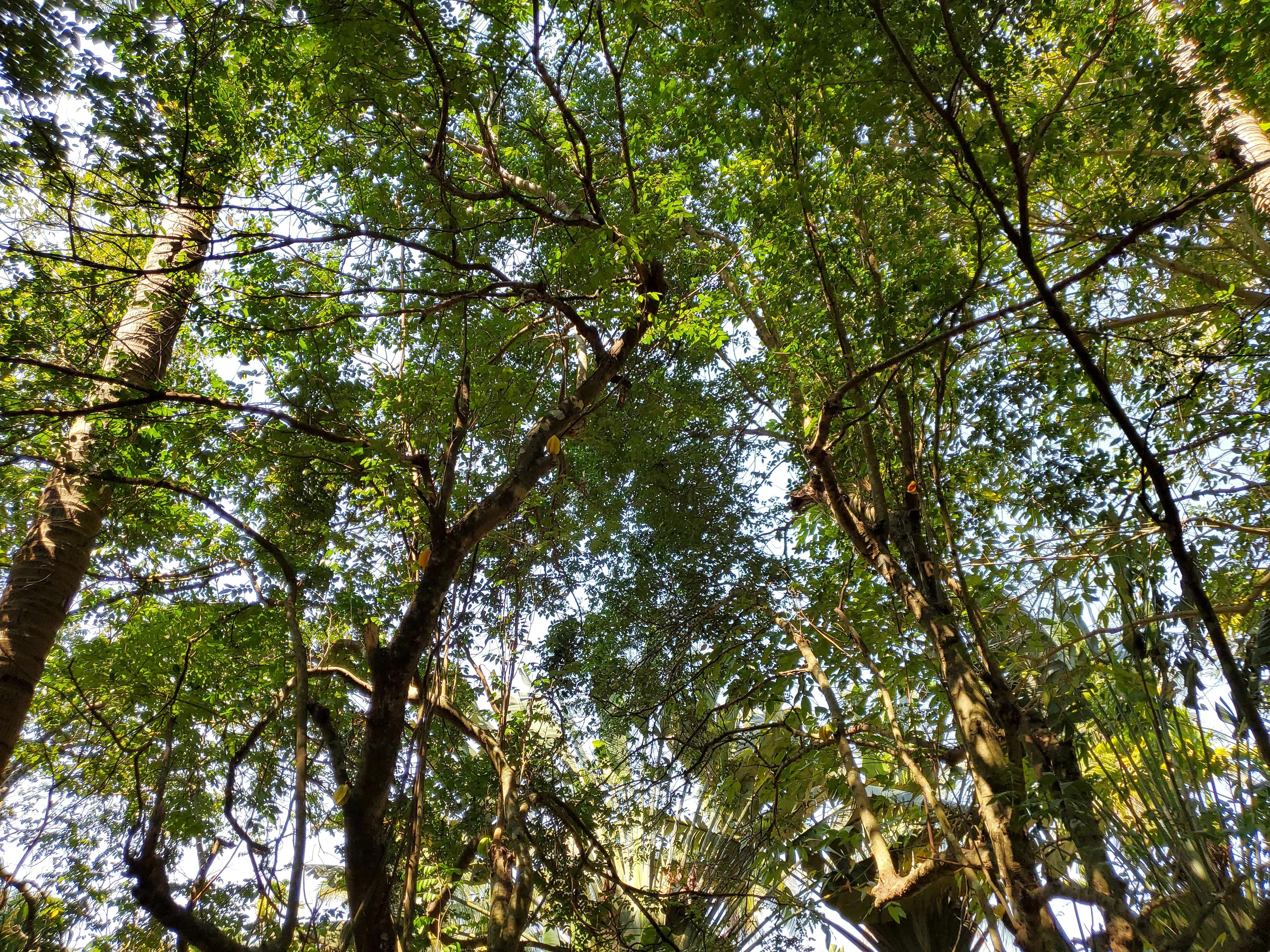 这个冬天我就要去旅行,来三亚享受着冬天里的夏天吧