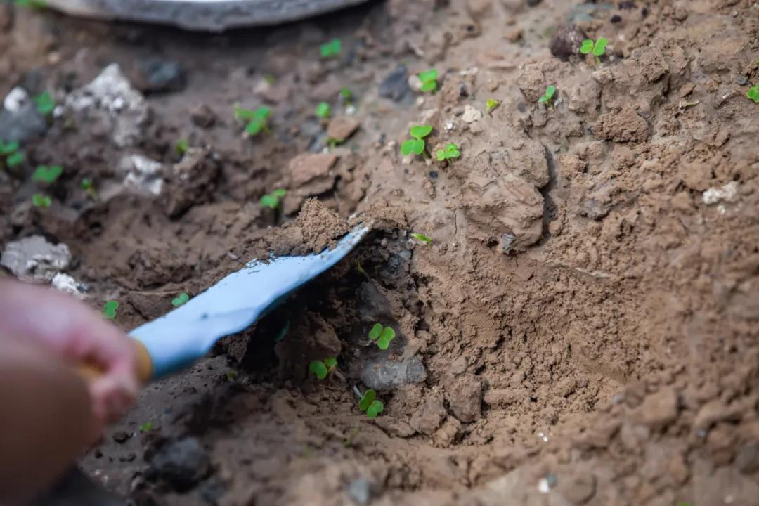 郑州金水区新开的托幼一体园,郑州中原区托幼园0-3岁